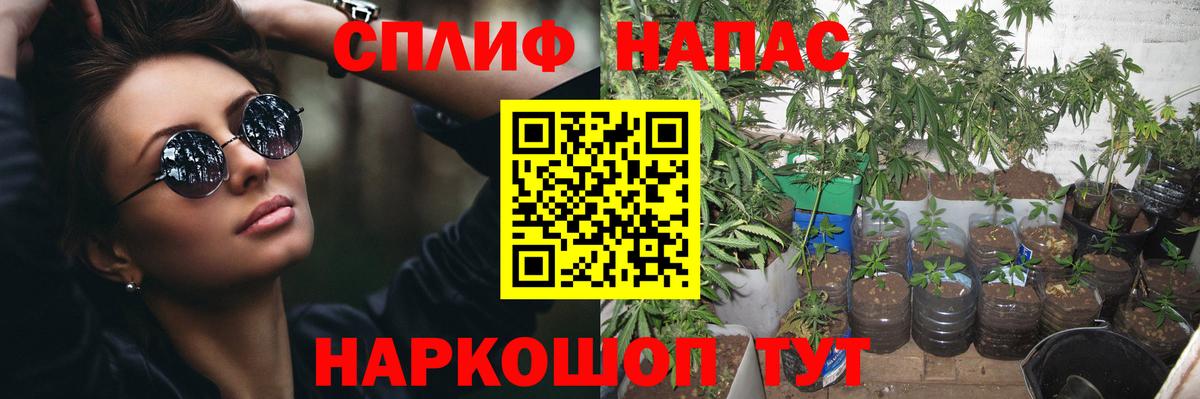МАРИХУАНА SATIVA & INDICA Будённовск